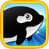 Olly the Orca FREE - Dash this mighty whale full with evil fish!