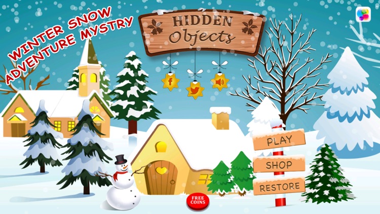 Winter Snow Hidden Object