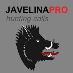 REAL Javelina Calls & Javelina Sounds to use as Hunting Calls (ad free) - BLUETOOTH COMPATIBLE
