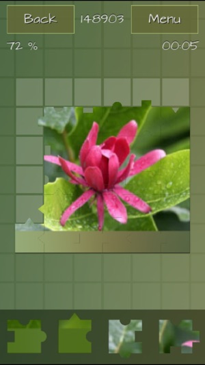 Medicinal Plants Jigsaw Puzzles