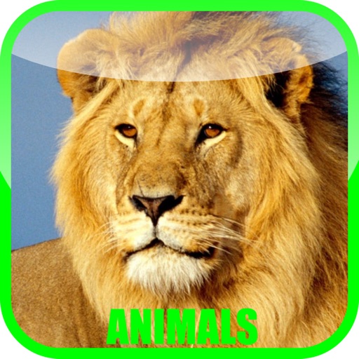 Animal Zoo Sound Baby Game - fun for all family, parent & babies can play & learn animals sounds in pet zoo story game (Free) Icon