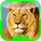 Educational application for little kids, teach your baby or toddler to recognize animals and their sounds