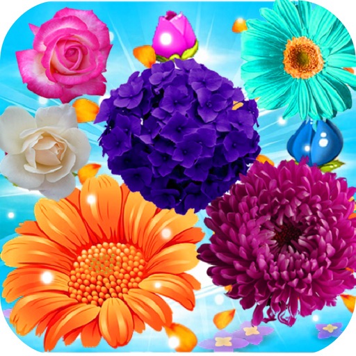 Festival Flower: Match Mania iOS App