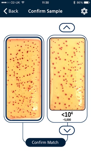 Dipslide Comparator(圖2)-速報App