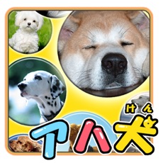 Activities of Brain Training - Aha dog picture book