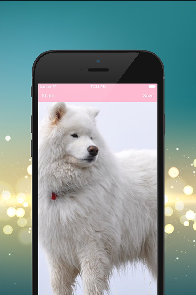 Dog HD Wallpaper screenshot 3