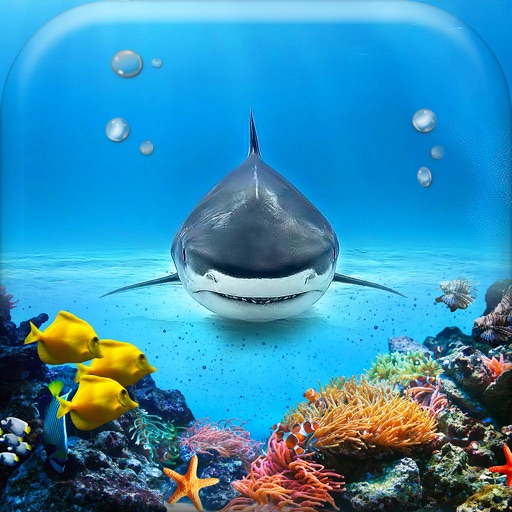 Underwater Wallpaper Gallery - Beautiful Sea Animals Backgrounds & Aquarium Lock-Screen.s icon
