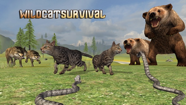 Wild Cat Survival(圖1)-速報App