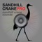 Sandhill crane calls and sandhill crane hunting calls with sandhill crane sounds perfect for sandhill crane hunting