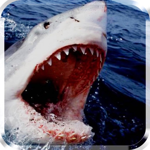 2016 Shark Attack 2 : Sea Monster Deadly Revenge (Sniper  Adventurous Edition) icon