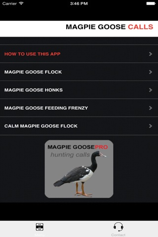 REAL Magpie Goose Calls - Hunting Calls for Magpie Geese - (ad free) BLUETOOTH COMPATIBLE screenshot 3