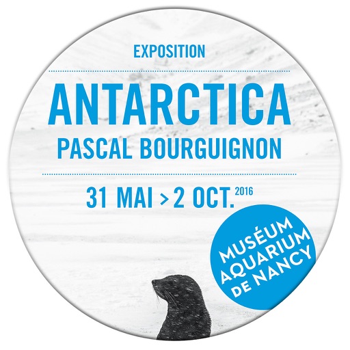 Antarctica Icon