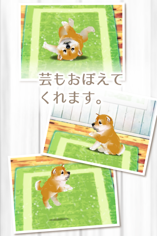 My Dog Life - Japanese Shiba screenshot 3