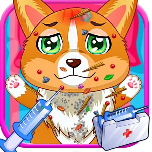 Dog Care Hospital - Pet Carrying Hospital for kids icon