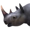 Virtual Reality(VR) Rhino