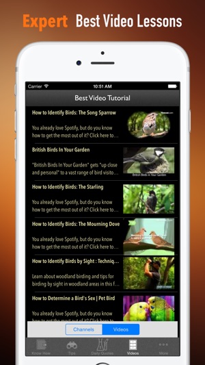How to Identify a Bird:Tips and Tutorial(圖3)-速報App
