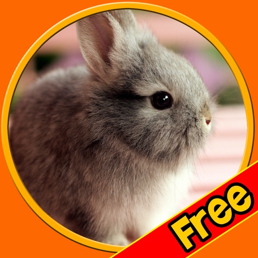 friendly rabbits for kids free icon