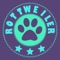 This is an app customized for dog lovers and owners