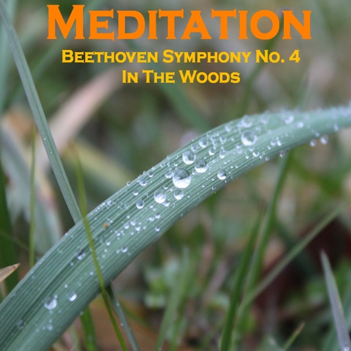 Meditation - Beethoven 4 in the Stormy Woods