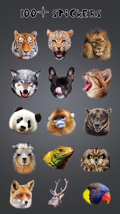Animal Face Morph - Sticker Photo Editor to Blend Yr Skin with Wild Effects screenshot-3