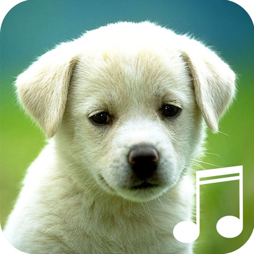 Dog and Puppy Sounds For Deep Sleep Relaxation icon