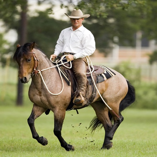 Horseman Guide: Horsemanship Guide icon
