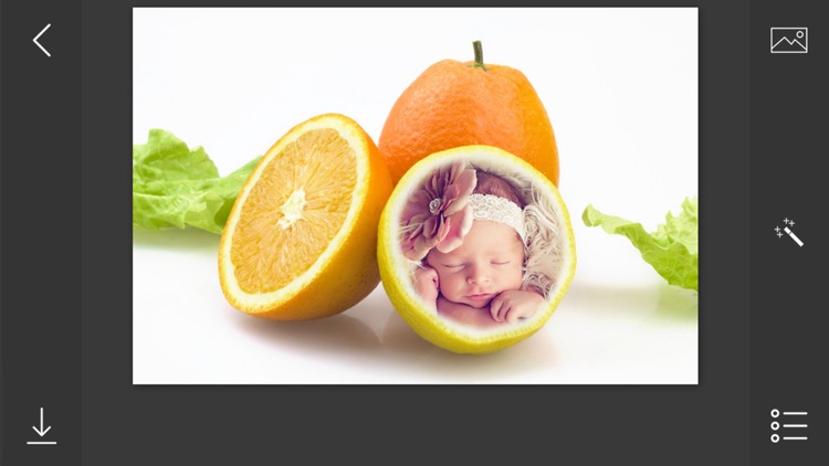 Fruit Photo Frames - make eligant and awesome photo using new photo frames screenshot-3