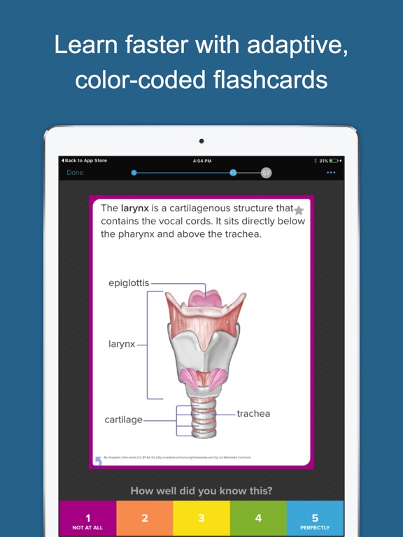 Brainscape - Smart Flashcards - App Voor IPhone, IPad En IPod Touch ...