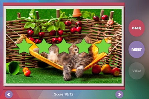 Déjà Vu - Kittens screenshot 3