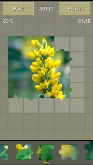 Plants Puzzle Deluxe(圖5)-速報App