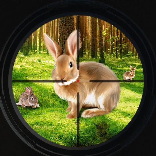 Rabbit Hunting Game Icon