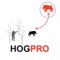 Are you a hog hunter who loves to hunt for hogs