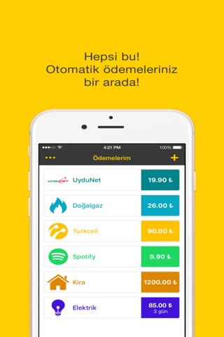 Hesapp - Sabit ödemelerinizi yönetin ve tasarruf edin screenshot 4