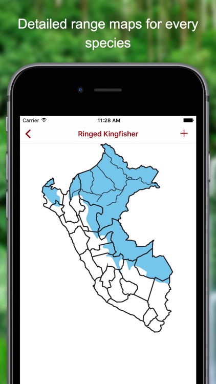 Birds of Peru screenshot-3