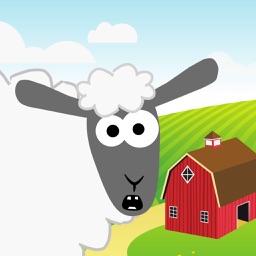 Shear The Sheep