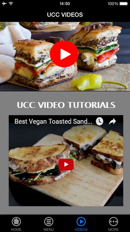 Easy & Best Healthy Vegan Sandwiches & Recipes for Beginners