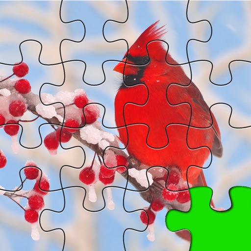 Puzzles Amazing Jigsaw Birds Collection Pro Icon
