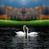 Nature Wallpapers...!!!