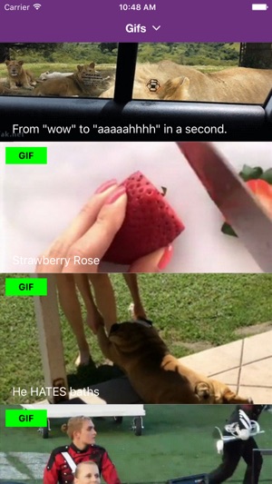 It's Viral! - New and Trending Videos, Gifs, Memes and Pics(圖2)-速報App