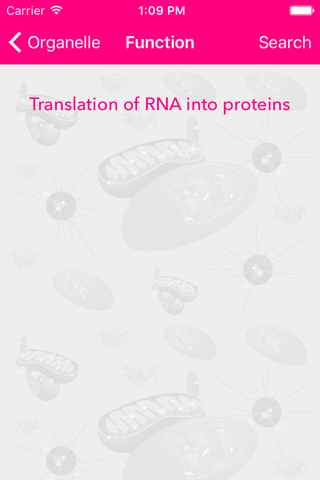 FlashKarte Cellular Organelles screenshot 2