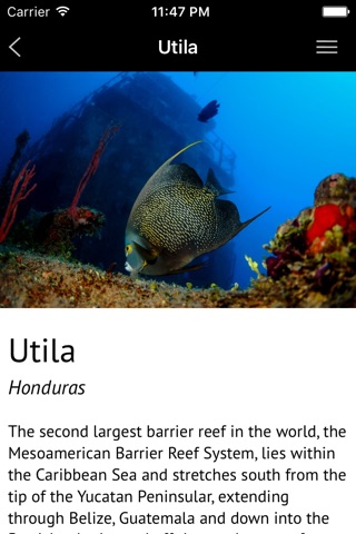Honduras - Global Dive Guide screenshot 2
