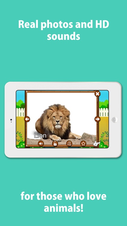 Animal sounds and pictures, hear jungle sound in Kids zoo, Petting zoo with real images and sound