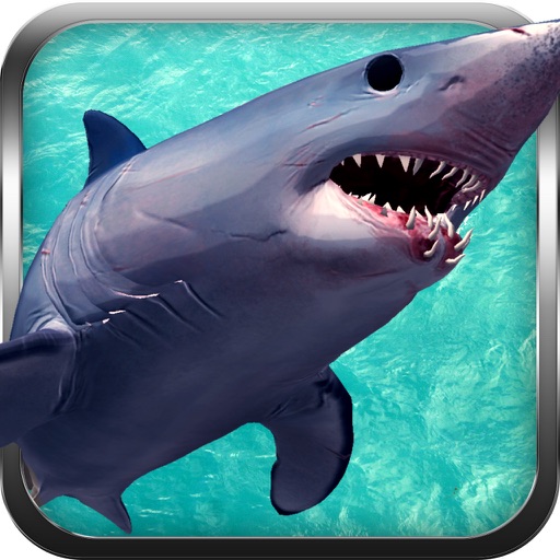 Hungry Little Shark Attack ~ Endless Sharks war Hunger games icon