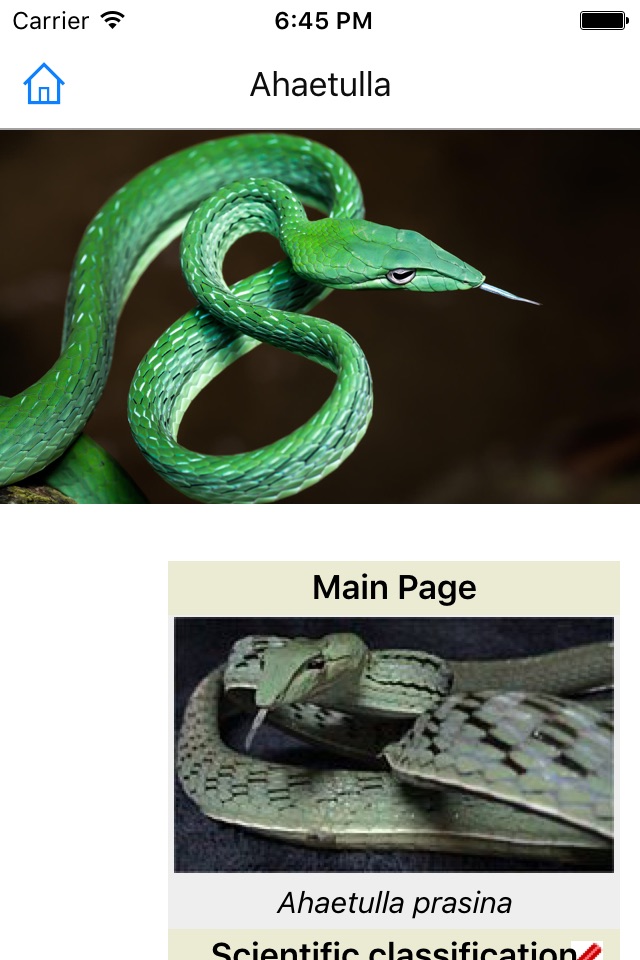 CHI Encyclopedia of Snakes screenshot 2