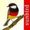 ***This is the perfect app to go bird watching in Germany