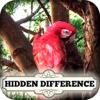 Hidden Difference - Tree of Life