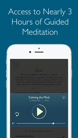 Game screenshot Quiet | Relaxation & Wellness hack