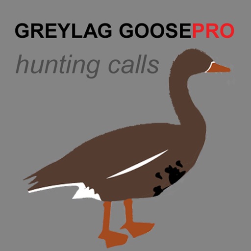REAL Greylag Goose Hunting Calls + Greylag Goose CALLS & Greylag Goose Sounds! iOS App