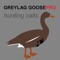 The REAL Greylag Goose Hunting Calls app provides you greylag goose calls at your fingertips
