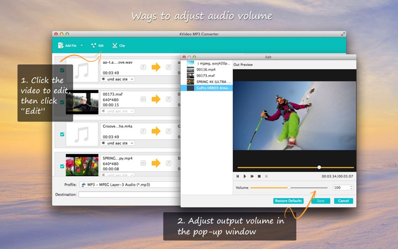 4Video MP3 Converter (音频转换)